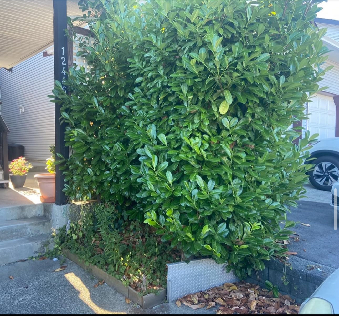 Retaining Wall Project - Before