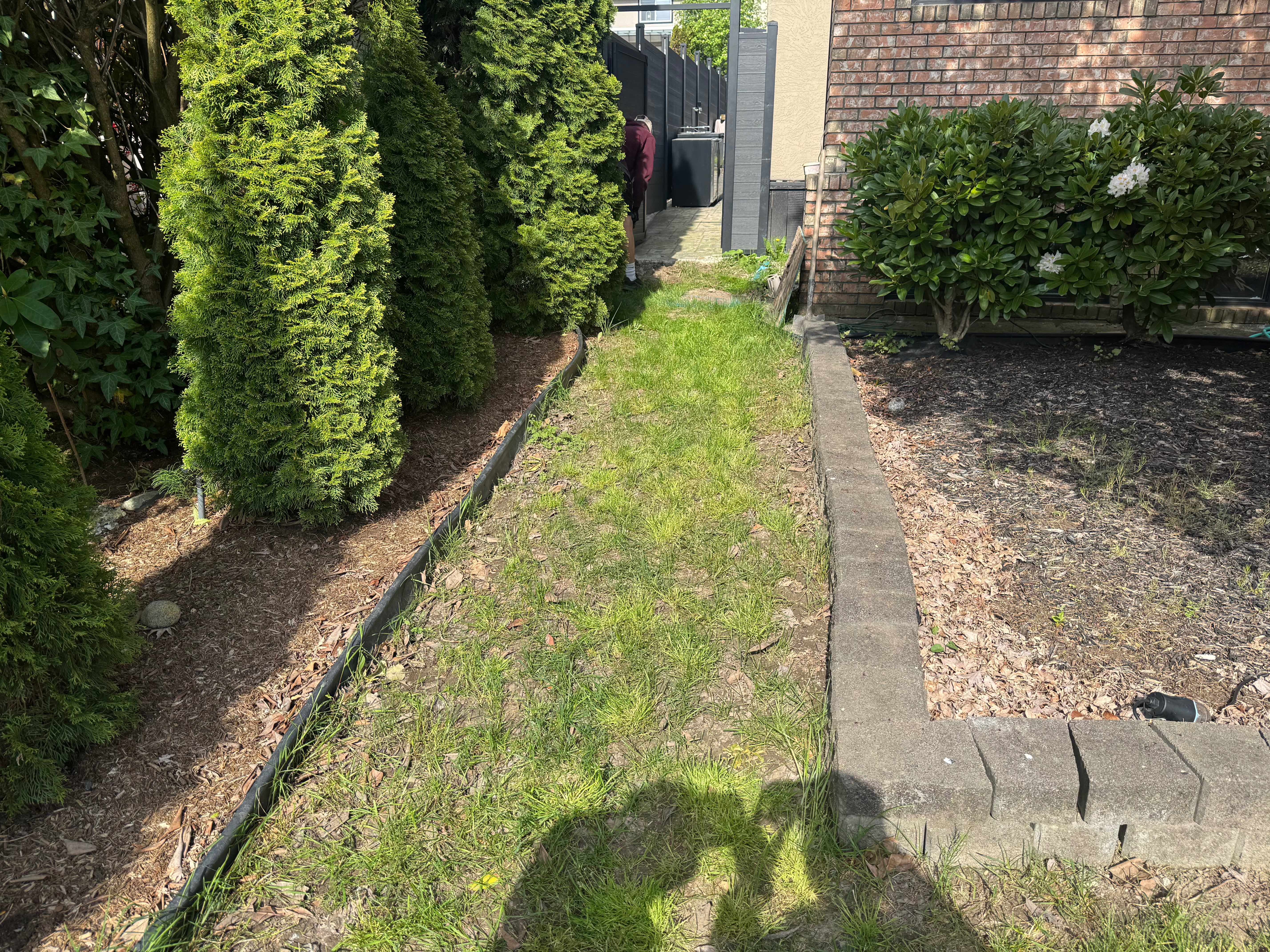 Yard Upgrade and Enhancements - Before